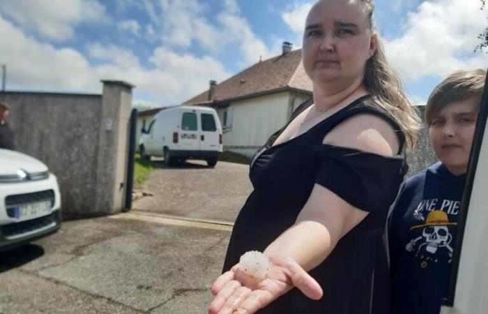 Halfmeal fall in Béarn: “Tennis bullets that fusted” testifies a resident of Lombia where 400 chickens were killed