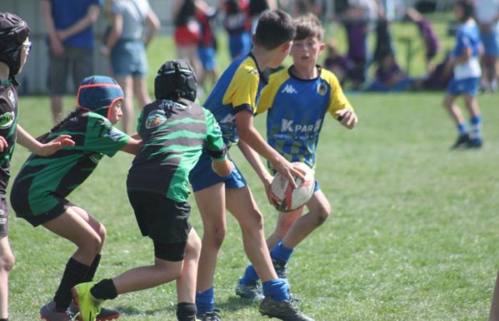 Rugby – Challenge Repiquet: U8, U10 and U12, RC Montceau Grande winner