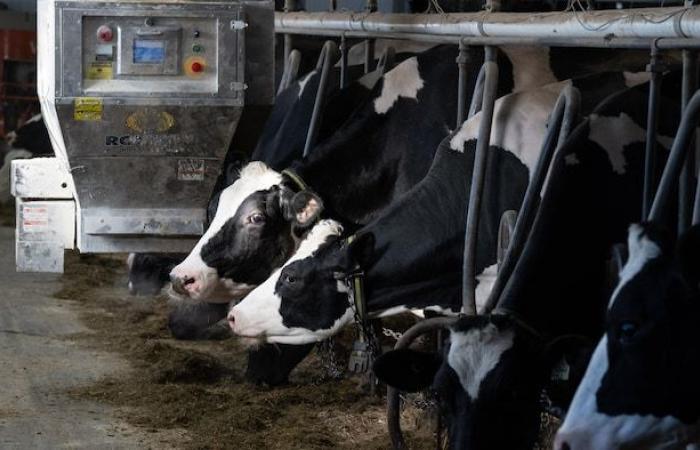 The end of the management of the offer could cost dearly