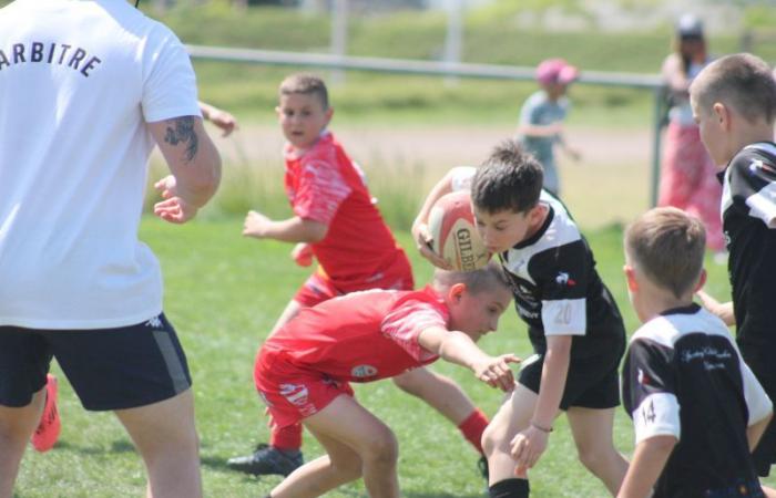 Rugby – Challenge Repiquet: U8, U10 and U12, RC Montceau Grande winner