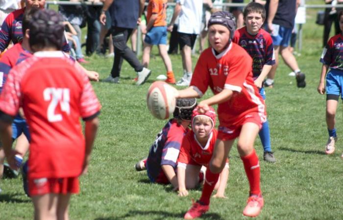 Rugby – Challenge Repiquet: U8, U10 and U12, RC Montceau Grande winner
