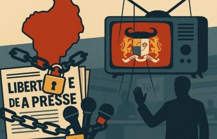 RSF rings the alarm in the face of political interference and legal excesses