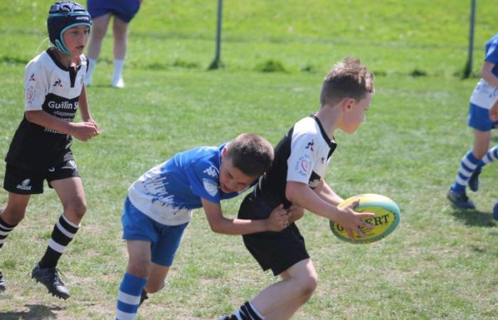 Rugby – Challenge Repiquet: U8, U10 and U12, RC Montceau Grande winner