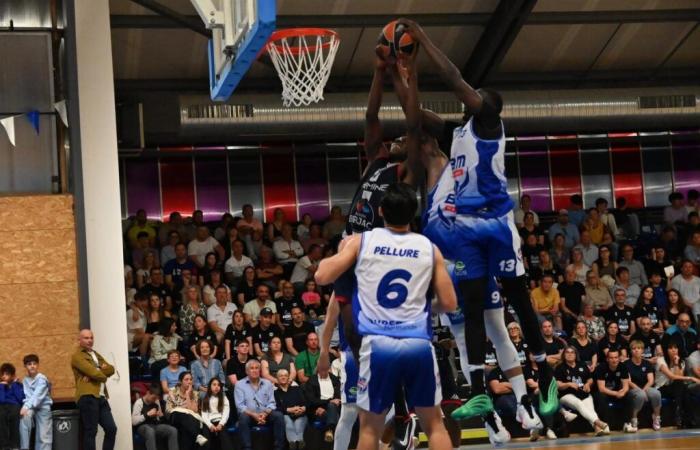 Basketball (National 2). BB Marmande has recovered well from its coronation