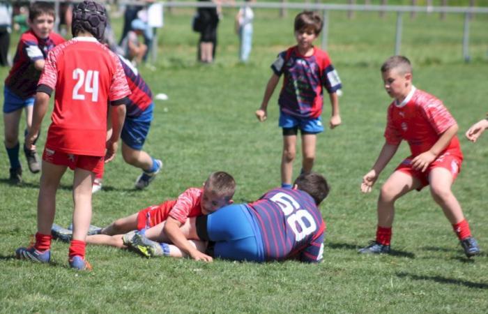 Rugby – Challenge Repiquet: U8, U10 and U12, RC Montceau Grande winner