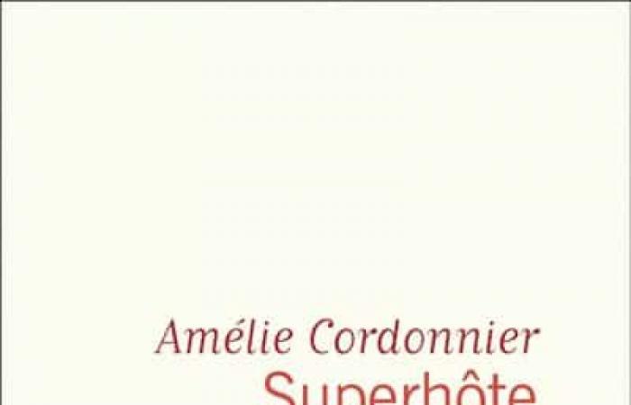 The hidden side of the rental on Airbnb: here is the controversial subject that the novelist Amélie Cordonnier addresses in “Superhôte”