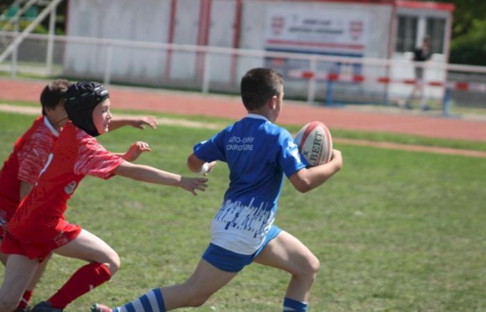 Rugby – Challenge Repiquet: U8, U10 and U12, RC Montceau Grande winner