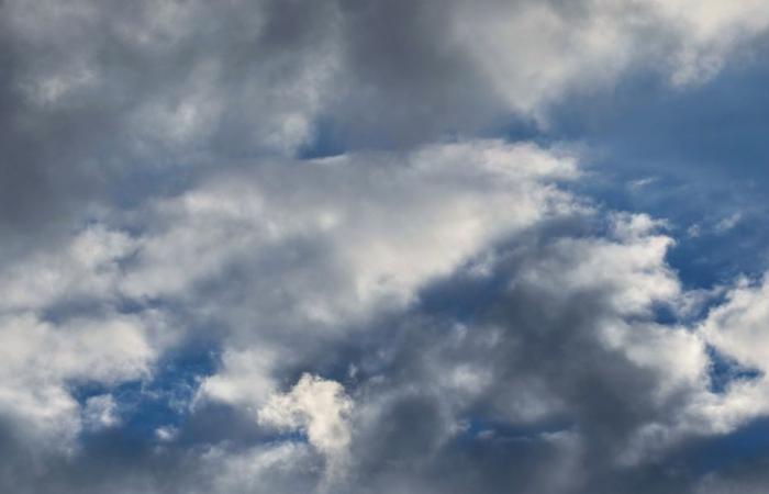 Weather report. What time for this Sunday, May 4 in Hauts-de-France?