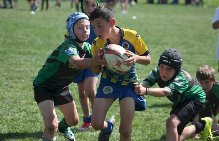 Rugby – Challenge Repiquet: U8, U10 and U12, RC Montceau Grande winner