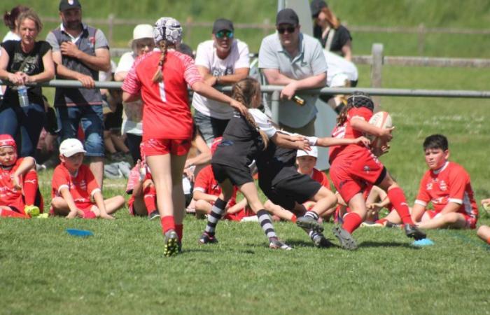 Rugby – Challenge Repiquet: U8, U10 and U12, RC Montceau Grande winner
