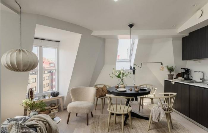 A natural and attic apartment of 34m2 with cocoon decoration