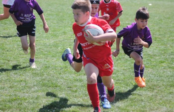 Rugby – Challenge Repiquet: U8, U10 and U12, RC Montceau Grande winner