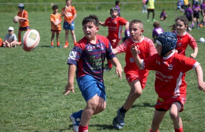 Rugby – Challenge Repiquet: U8, U10 and U12, RC Montceau Grande winner