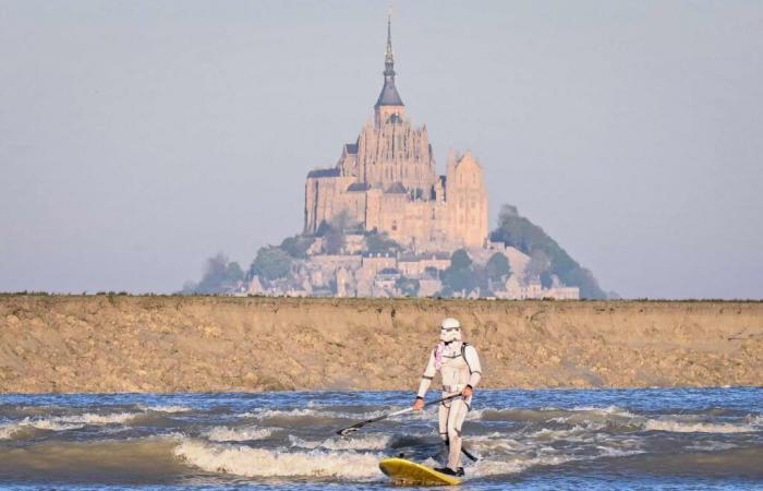 Star Wars at Mont Saint-Michel, Musk and wild beasts … The photos of the week
