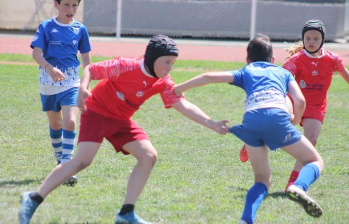 Rugby – Challenge Repiquet: U8, U10 and U12, RC Montceau Grande winner