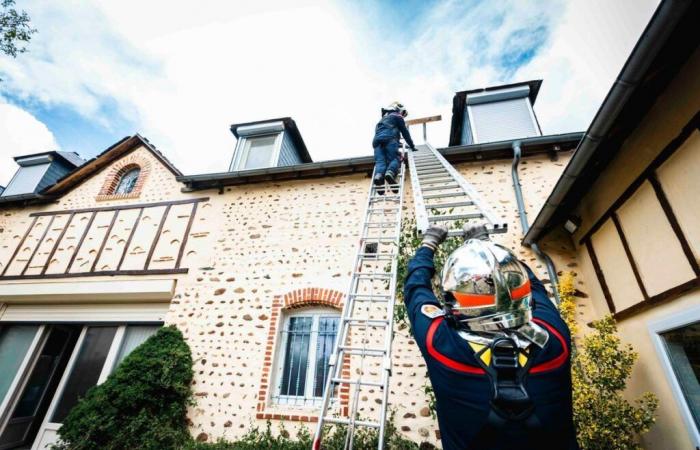 Halfmeal fall in Béarn: “Tennis bullets that fusted” testifies a resident of Lombia where 400 chickens were killed
