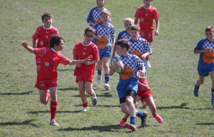 Rugby – Challenge Repiquet: U8, U10 and U12, RC Montceau Grande winner
