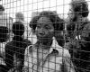 Back on the fall of the French Embassy in 1975 under pressure from the Khmer Rouge – Liberation