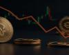 What does the drop in Coindesk 20 reveal? – France