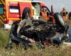 A 96 -year -old man died after struck a truck in the wrong against her: several injured and a motorist in absolute emergency – France