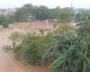 Floods in Kinshasa: the balance sheet goes from 33 to 43 dead – Swiss