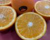 “World markets have no choice but to accept higher prices for citrus”