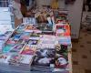Feathers and taste buds the lair of second -hand books to read and share