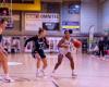 Belgium: Even if they have suffered, Brainoises and Malinoises will still compete for the title – Postup.fr
