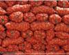 The Arm establishes a suspension of onion sales between producers and wholesalers