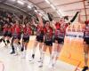 Ball – Female Elite. Glory day has arrived for the louves of Saint-Dié