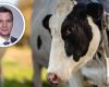 Prew animals: almost victory against a viral disease