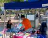 European vaccination week in Marseille