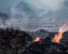 South Korea: the weather conditions of the fires made twice as likely by warming