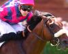 Arrival of the Quinté of Sunday May 4 in Parislongchamp: the day of glory of Ziggy Star and Dorian Provost